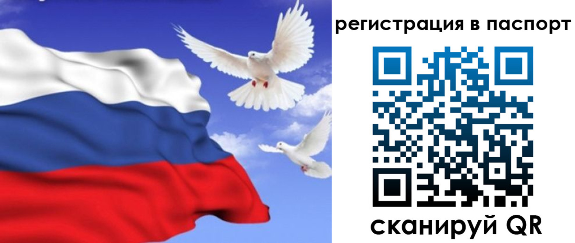 купить прописку в Ардоне